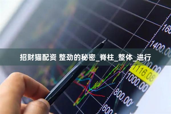 招财猫配资 整劲的秘密_脊柱_整体_进行