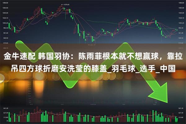 金牛速配 韩国羽协：陈雨菲根本就不想赢球，靠拉吊四方球折磨安洗莹的膝盖_羽毛球_选手_中国