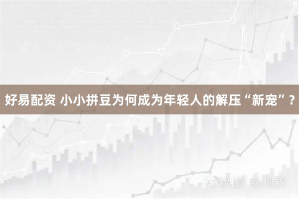 好易配资 小小拼豆为何成为年轻人的解压“新宠”？