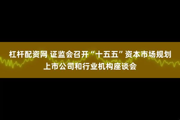 杠杆配资网 证监会召开“十五五”资本市场规划上市公司和行业机构座谈会